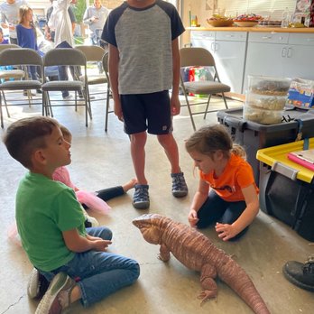 Kids Reptile Parties - Kids got to pet the larger animals. Very interactive experience. The animals are very clean. - Party & Event Planning Near Me Kids Reptile Parties - Kids got to pet the larger animals. Very interactive experience. The animals are very clean. - Party & Event Planning Near Me