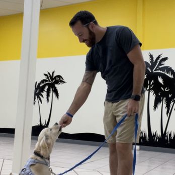 Woofbeach Cove - Pet Groomers Near Me - Glen Ellyn, Illinois Woofbeach Cove - Pet Groomers Near Me - Glen Ellyn, Illinois