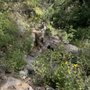 Photo of TWA Plane Crash Hiking Trail