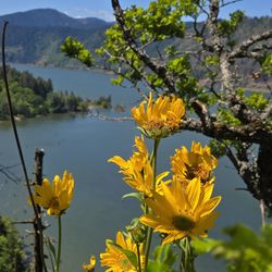 Ruthton County Park