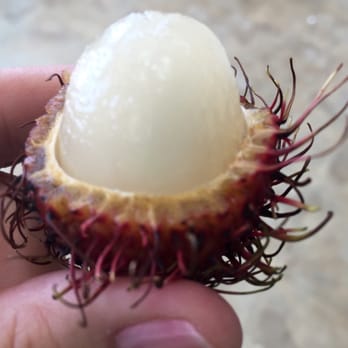 Happy Nails - Lichi fruit - scary outside, but beautiful inside - tastes kind of like a grape. - Nail Salons Near Me - Escalon, California Happy Nails - Lichi fruit - scary outside, but beautiful inside - tastes kind of like a grape. - Nail Salons Near Me - Escalon, California