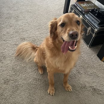 AZ Mobile Spaws - Pet Groomers Near Me - Phoenix, Arizona