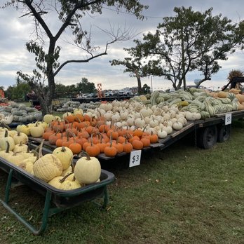 Mink and Walters Pumpkin Patch - Pumpkin Patches Near Me - Elizabethtown, Kentucky Mink and Walters Pumpkin Patch - Pumpkin Patches Near Me - Elizabethtown, Kentucky