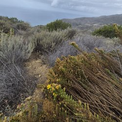 Charmlee Wilderness Park