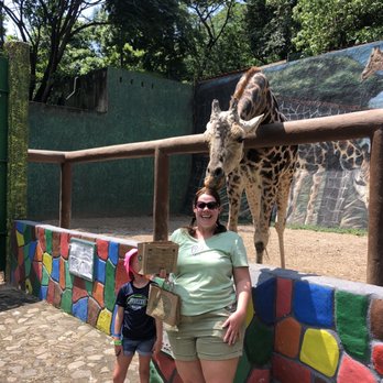 Zoologico De Vallarta - Zoos Near Me - Boca de Mixmaloya, JAL