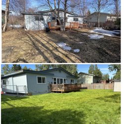 Paul's Tree Service - Before and after back tree by deck and side tree