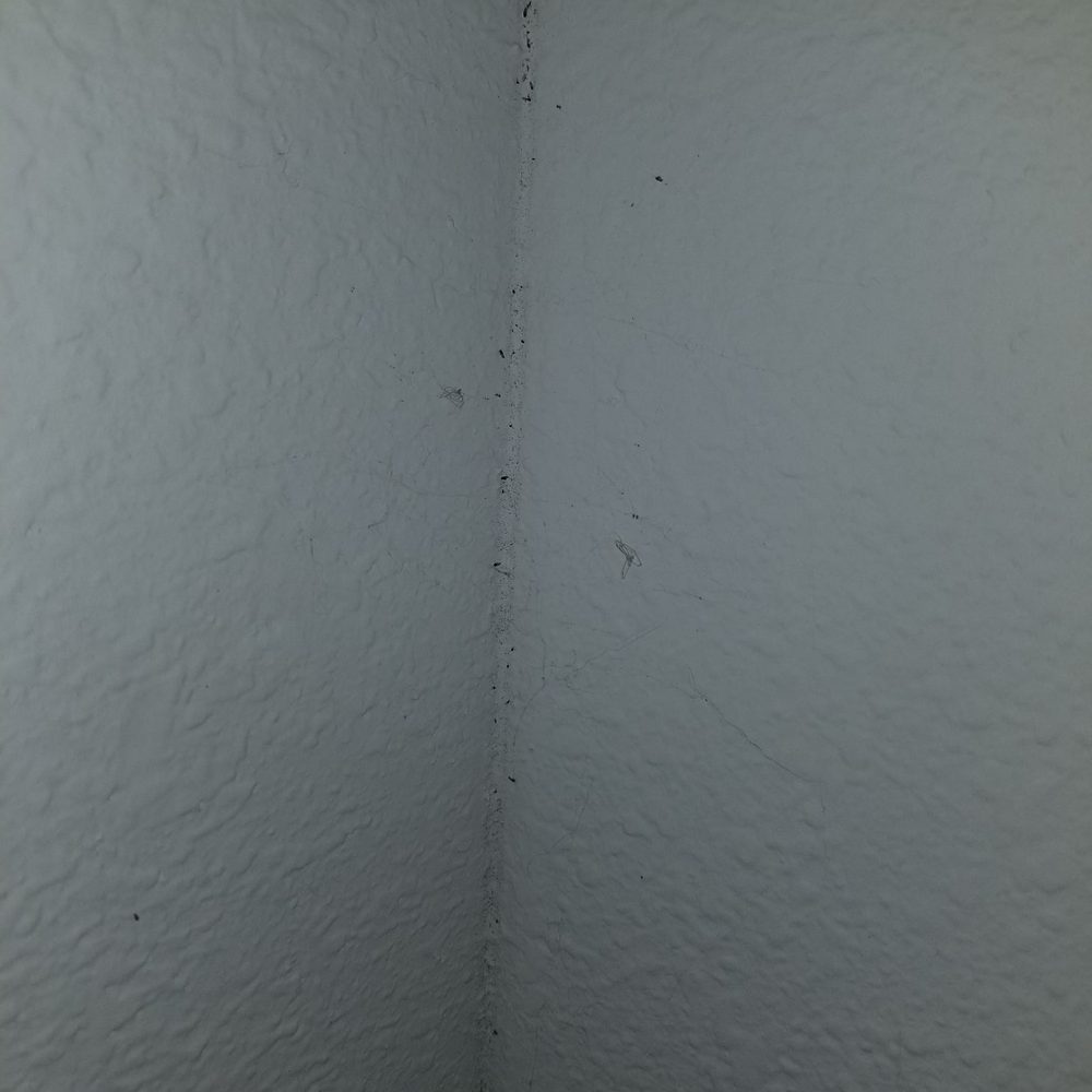 Cypress Oaks Apartments - Book lice infested in closet due to damp conditions - Apartments Near Me - Leesburg, Florida Cypress Oaks Apartments - Book lice infested in closet due to damp conditions - Apartments Near Me - Leesburg, Florida