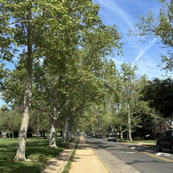 Curtis Park - Parks Near Me - Sacramento, California Curtis Park - Parks Near Me - Sacramento, California