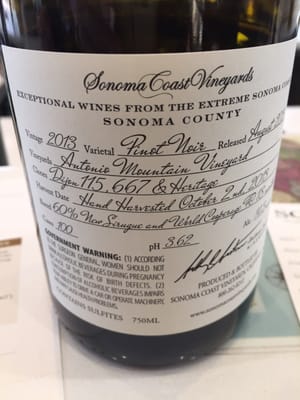 Sonoma Coast Vineyards by null