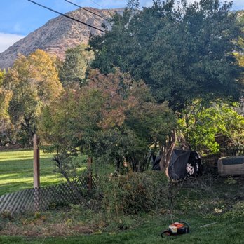 Nothing But Tree's and Shrubs - Tree Services Near Me - South Ogden, Utah Nothing But Tree's and Shrubs - Tree Services Near Me - South Ogden, Utah