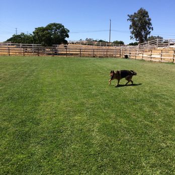 Briarcliff Pet Resort - Having fun at Briarcliff! - Pet Sitting Near Me - Menifee, California Briarcliff Pet Resort - Having fun at Briarcliff! - Pet Sitting Near Me - Menifee, California