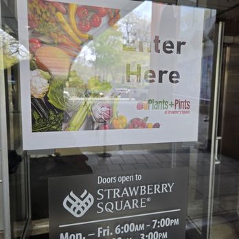 Plants Pints - Juice Bars & Smoothies Near Me - Harrisburg, Pennsylvania Plants Pints - Juice Bars & Smoothies Near Me - Harrisburg, Pennsylvania