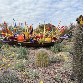 Desert Botanical Garden - Chihuly - Botanical Gardens Near Me - Phoenix, Arizona Desert Botanical Garden - Chihuly - Botanical Gardens Near Me - Phoenix, Arizona