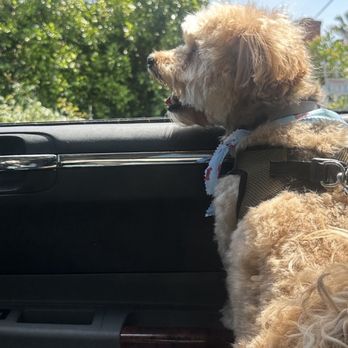 Happiness Grooming - Pet Groomers Near Me - Van Nuys, California