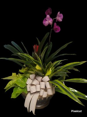 Mystical Gardens Flower Shop