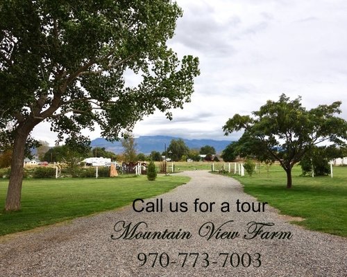 Mountain View Farm by null