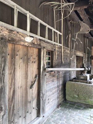 Black Forest Open Air Museum by null