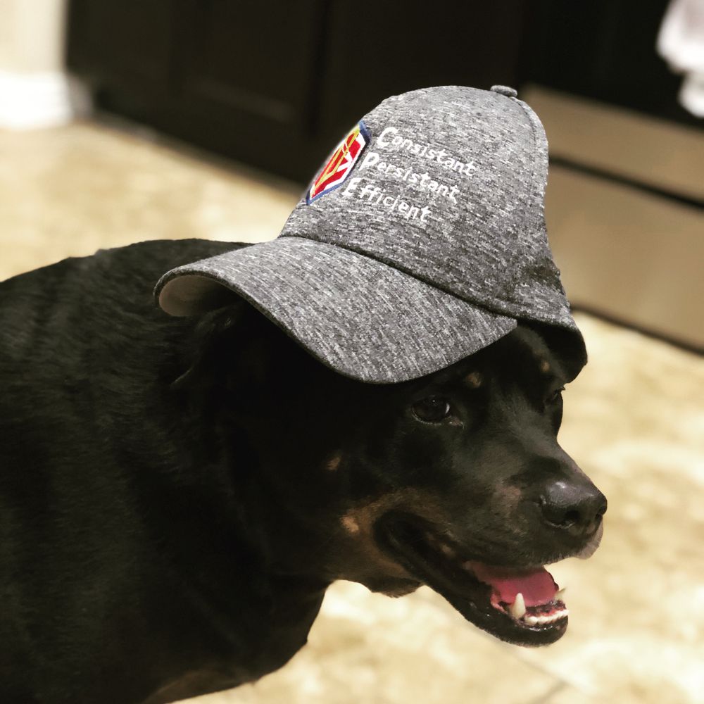 Slide of CPE Roofing