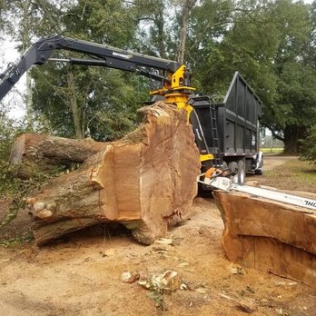 Ickes Tree Service - Tree Services Near Me - Silverhill, Alabama Ickes Tree Service - Tree Services Near Me - Silverhill, Alabama