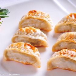 Yuki Teriyaki & Sushi - Pan fried dumplings