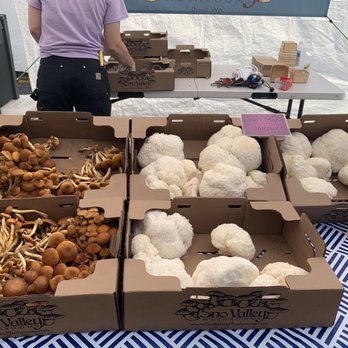 West Seattle Farmers Market - Mushroom!!! - Farmers Market Near Me - Seattle, Washington West Seattle Farmers Market - Mushroom!!! - Farmers Market Near Me - Seattle, Washington