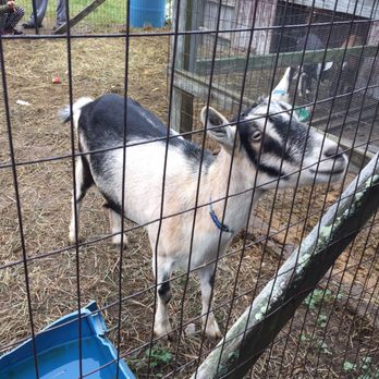 Masker Orchards - Fruits & Veggies Near Me - Warwick, New York