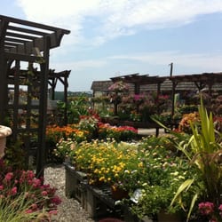 Mostardi Nursery