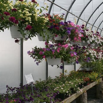 Weaver's Market on Garden - Nurseries & Gardening Near Me - Elmer, New Jersey