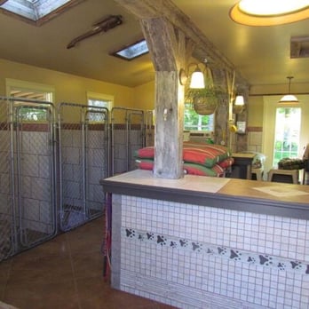 Oceanmark K9 Resort - Pet Sitting Near Me - Chester Basin, Nova Scotia Oceanmark K9 Resort - Pet Sitting Near Me - Chester Basin, Nova Scotia