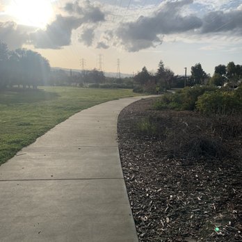 TJ Martin Park - Parks Near Me - San Jose, California TJ Martin Park - Parks Near Me - San Jose, California