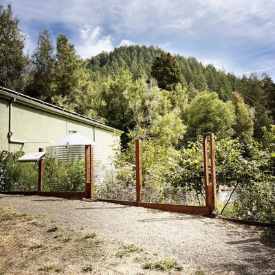 Lightwave Coffee & Kitchen by null