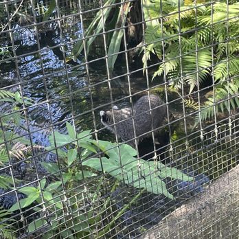 Gatorland - Zoos Near Me - Orlando, Florida