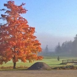 Bucksport Golf Club - Property View