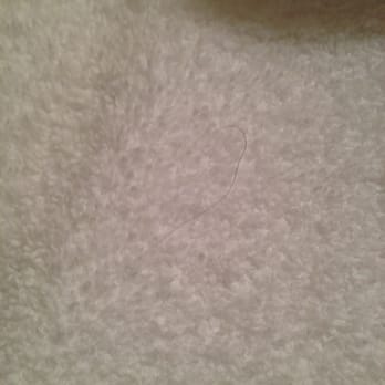 Lockport Inn & Suites - hair on towels - Hotels Near Me - Lockport, New York Lockport Inn & Suites - hair on towels - Hotels Near Me - Lockport, New York