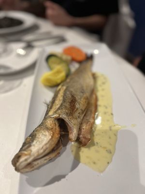 Celestino Ristorante & Bar by null