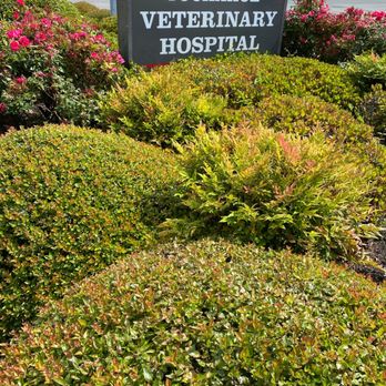 Tuckahoe Veterinary Hospital - Veterinarians Near Me - Richmond, Virginia Tuckahoe Veterinary Hospital - Veterinarians Near Me - Richmond, Virginia