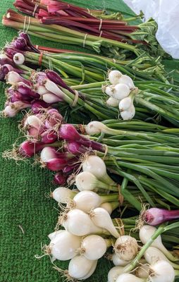 West Allis Farmers Market by null