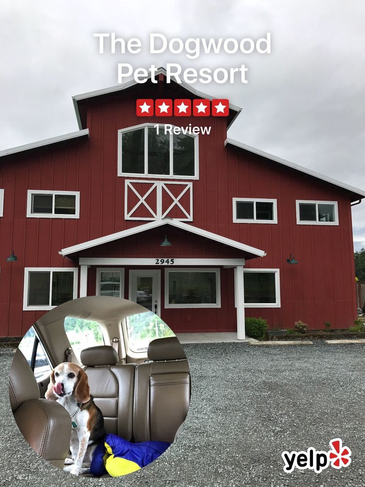 THE DOGWOOD PET RESORT 10 Reviews Pet Groomers 2945 Taylor Rd
