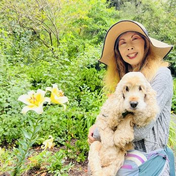 Western Hills Garden - Nurseries & Gardening Near Me - Occidental, California
