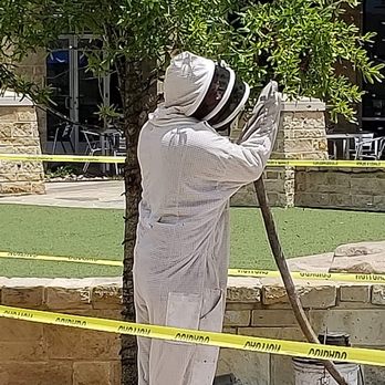 911 Honey Bee Removal - Pest Control Near Me - Katy, Texas