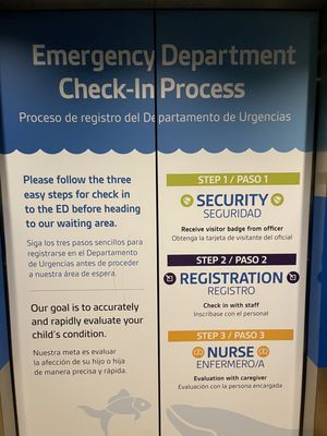 Ann & Robert H. Lurie Children's Hospital of Chicago by null