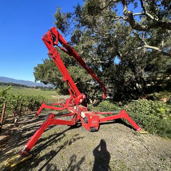 Von Greiff Tree Care - Tree Services Near Me