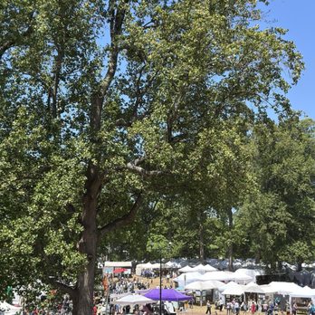 Arts in the Park - Festivals Near Me - Richmond, Virginia