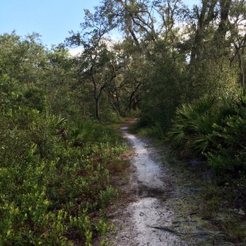 Econlockhatchee Sandhills Conservation Area - Nice pathway - Hiking Near Me - Orlando, Florida Econlockhatchee Sandhills Conservation Area - Nice pathway - Hiking Near Me - Orlando, Florida