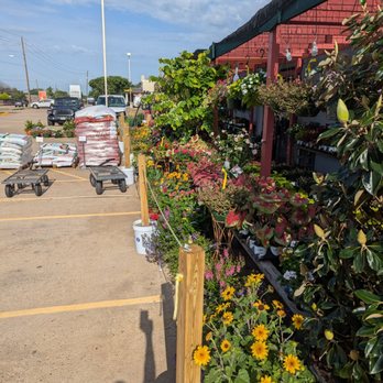 Puckett's Nursery - Nurseries & Gardening Near Me - Allen, Texas