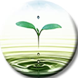 Renewed Relationships - grief counselor in Brighton, MI