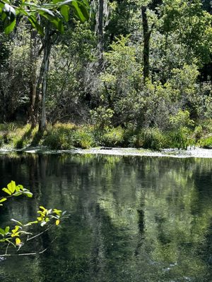 Ichetucknee Springs State Park by null