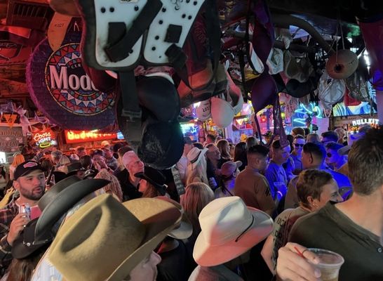 Swallow's Inn by null