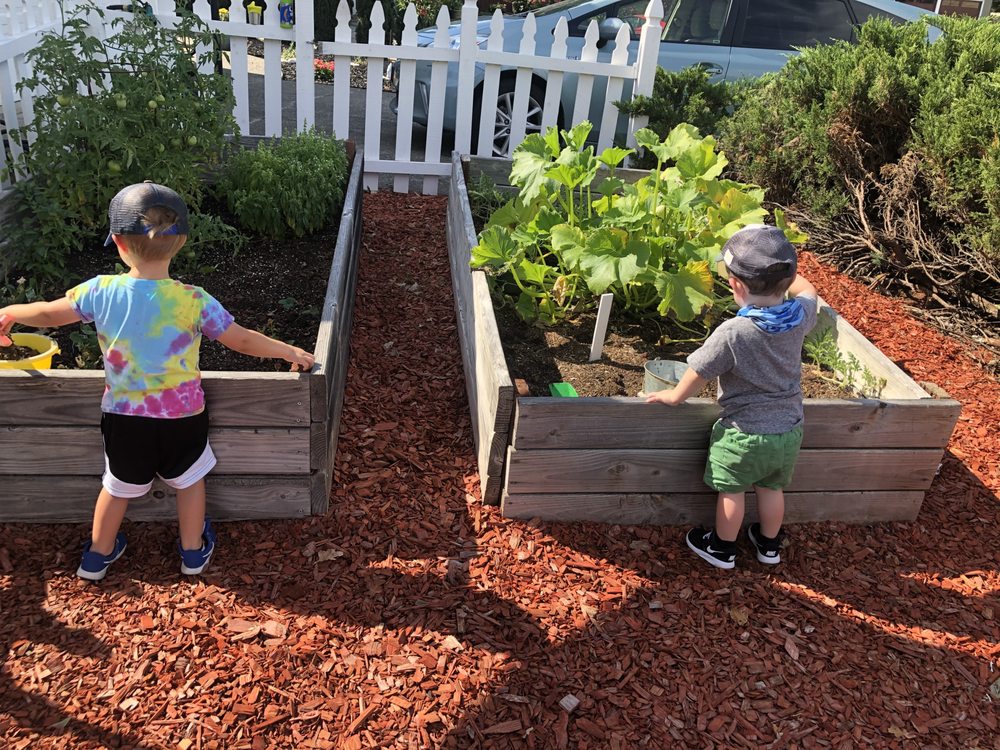 Little Stars Daycare - childcare center in Santa Rosa, CA