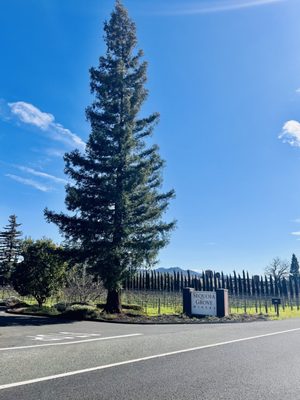 Sequoia Grove Winery by null